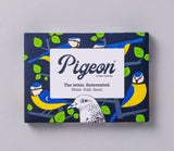 Dawn Chorus Pigeon