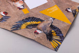 Golden Flight Pigeon