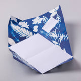 Apothecary Pigeon folding letter set